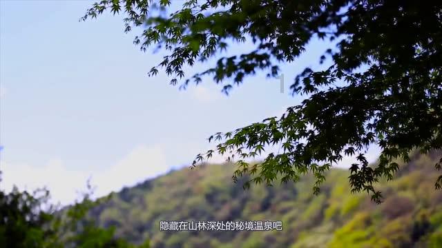 复活节记忆卡